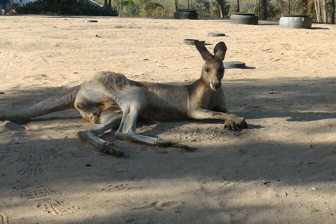 Self Guided Agnes to 1770 Scooter Hire - Final Thoughts