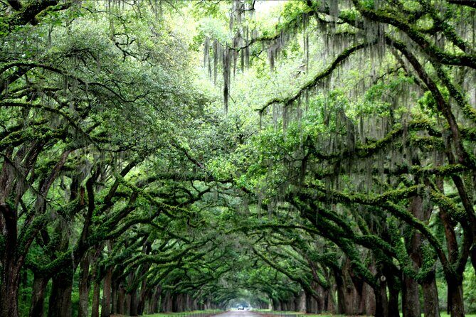 Self-Guided Audio Ghost Tour Through Savannah Shadows - The Sum Up