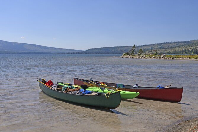 Self-Guided Audio Tour of Yellowstones West Thumb Basin - Who Should Consider This Tour?  