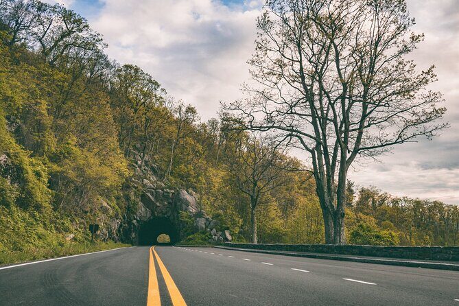 Self Guided Audio Tour Skyline Drive and Shenandoah NP - What to Expect from the Skyline Drive and Shenandoah NP Self-Guided Tour