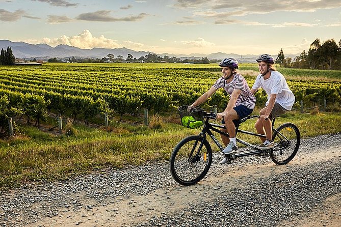 Self-Guided Biking Wine Tour (Full Day) in the Marlborough Region. - Reviews and Experiences