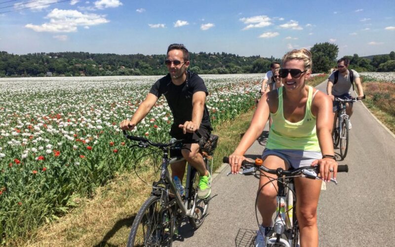 Self-Guided Country Bike Tours - Equipment and Bike Options