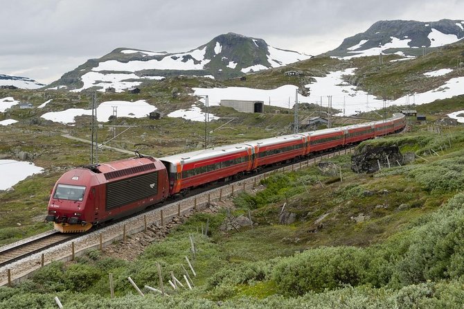 Self-Guided Day Tour - Premium Nærøyfjord Cruise & Flåm Railway - Accessibility and Participant Capacity