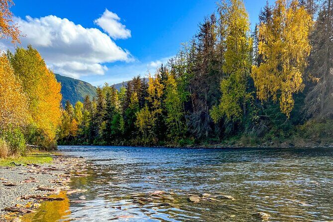 Self Guided Driving Audio Tour Anchorage to Homer Roundtrip - Why Choose a Self-Guided Audio Tour?