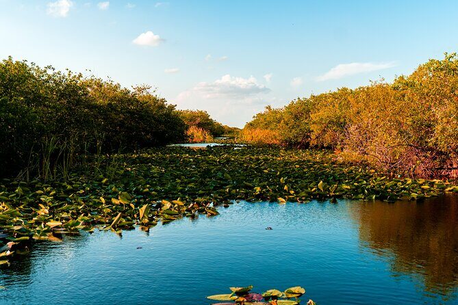 Self Guided Driving Audio Tour of Everglades National Park - What Travelers Say and Why It Matters