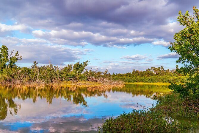 Self Guided Driving Audio Tour of Everglades National Park - Final Thoughts: Who Should Consider This Experience?