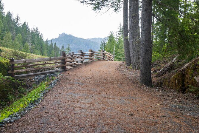 Self Guided Driving Audio Tour of Mount Rainier National Park - Who Should Consider This Tour?