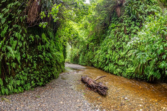 Self Guided Driving Audio Tour of Redwood National and State Park - Customizing Your Tour Experience