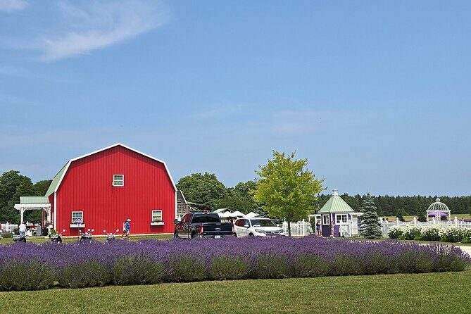 Self-Guided Driving Tour at Door Countys Washington Island - The Experience: What You Can Expect