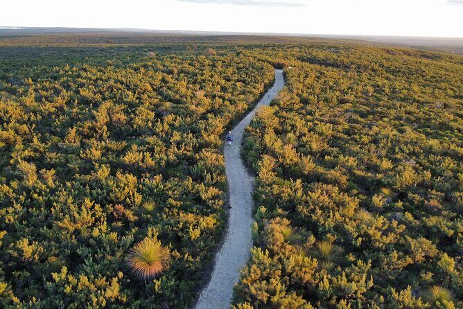 Self Guided Driving Tour in Perth to Pinnacles Turquoise Coast - Who Will Love This Tour?