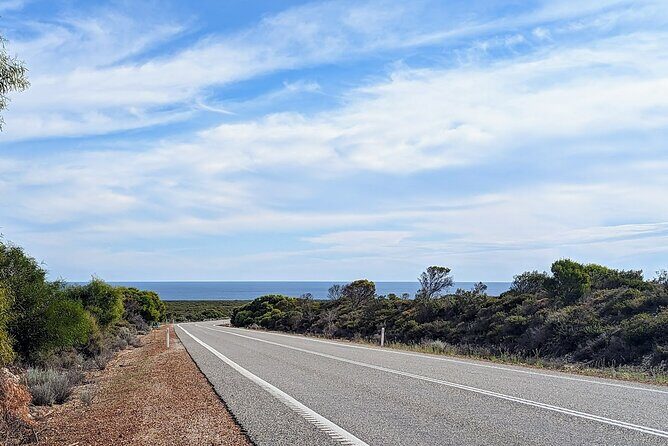 Self Guided Driving Tour in Perth to Pinnacles Turquoise Coast - The Sum Up