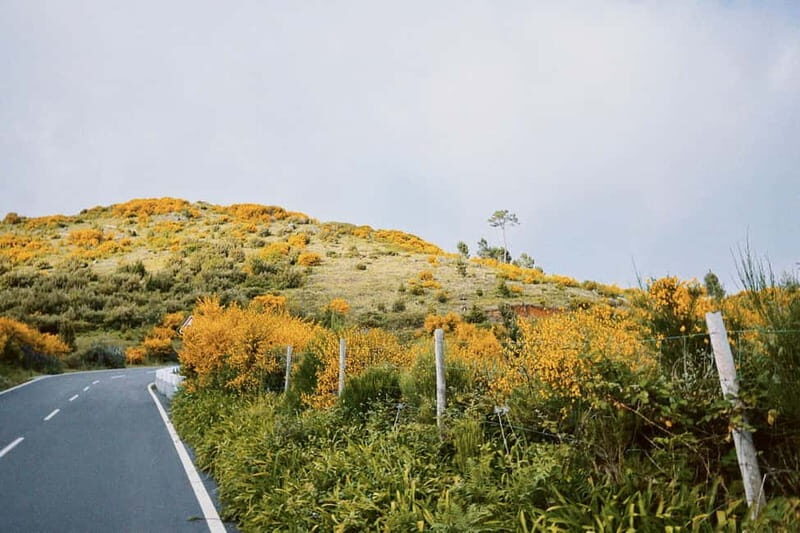 Self-Guided E-Bike Road Tour - Camacha to Monte with Lunch - Key Points