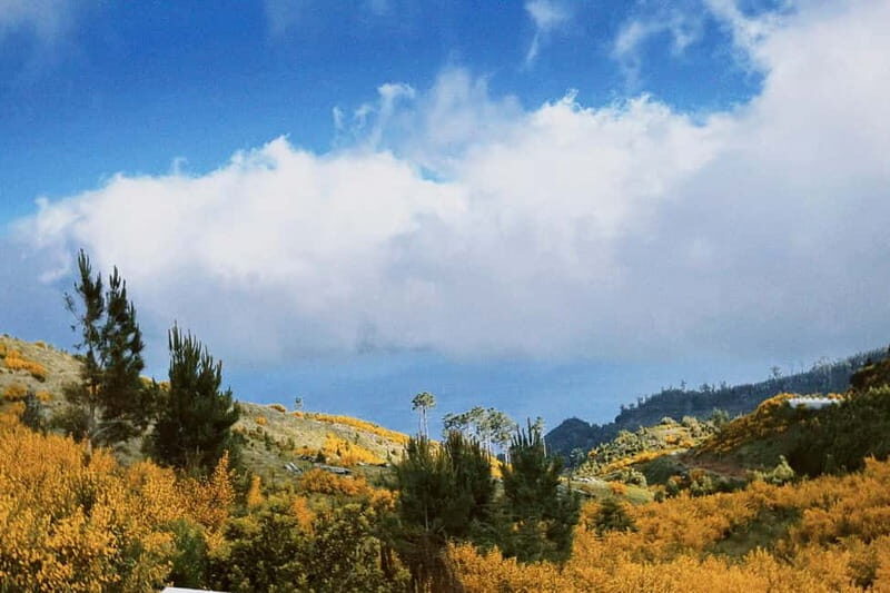 Self-Guided E-Bike Road Tour - Camacha to Monte with Lunch - An In-Depth Look at the Camacha to Monte E-Bike Tour