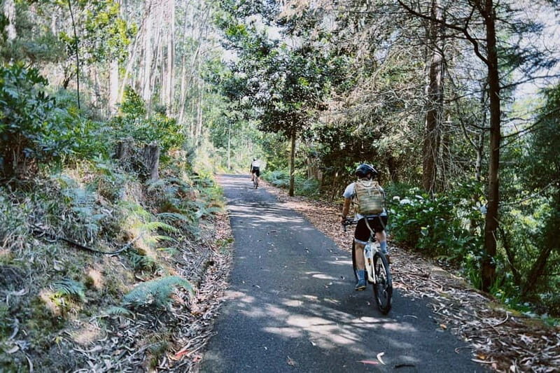 Self-Guided E-Bike Road Tour - Camacha to Monte with Lunch - FAQs