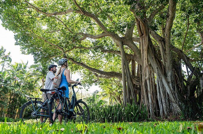 Self Guided E-Bike Tour Key Biscayne Miami's Island Paradise - Meeting Point and Practical Details