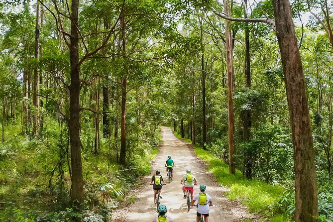 Self Guided E Bike Tour - Unicorn Falls, Rainforest & Rail Trail - Key Points