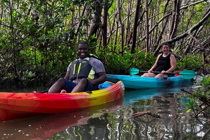 Self Guided EcoTour: Clear/Standard Kayaks -Bonita Springs - Self Guided EcoTour: Clear/Standard Kayaks - Bonita Springs – A Hidden Waterway Gem
