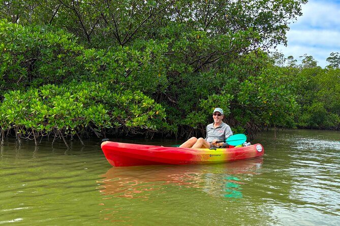 Self Guided EcoTour: Clear/Standard Kayaks -Bonita Springs - What You Can Expect from the Kayak Tour