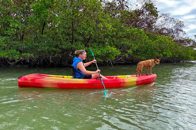 Self Guided EcoTour: Clear/Standard Kayaks -Bonita Springs - FAQ