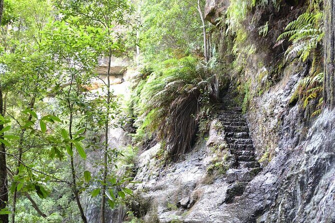 Self Guided Electric Bicycle Tour of Bundanoon - Frequently Asked Questions