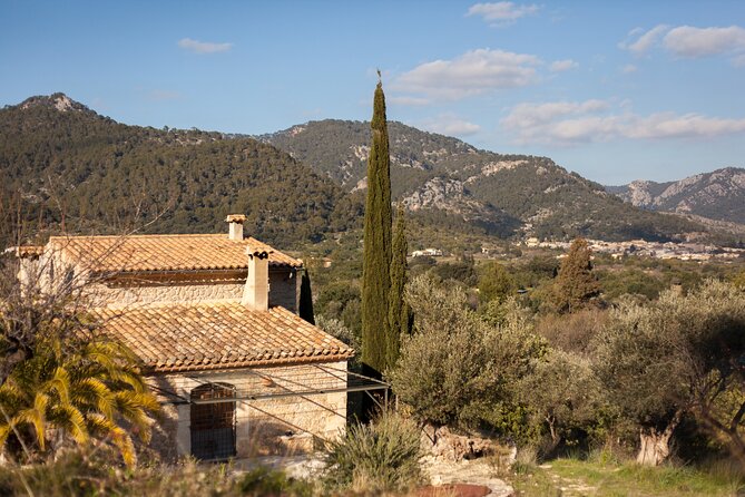 (Self Guided) Electric Scooter Tour in the Countryside Mallorca! - Ratings and Reviews
