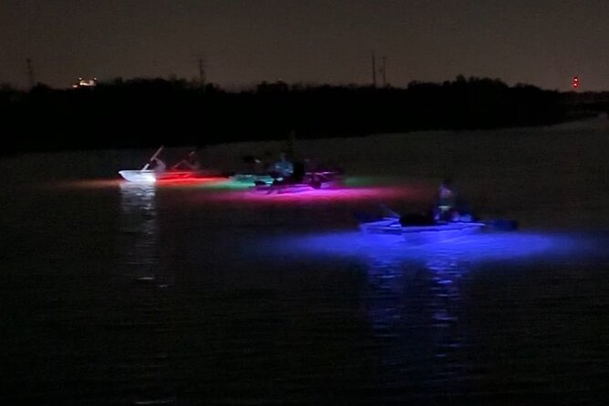 Self-Guided Island Tour: CLEAR/Standard Kayak, SUP-Bonita Springs - Best Times to Visit