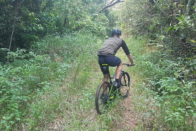 Self-Guided Mountain Bike Tours in Port Douglas - A Closer Look at the Experience