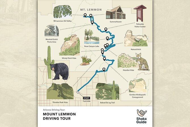 Self Guided Mt. Lemmon Scenic Byway Driving Tour - What Travelers Say and Why It Matters