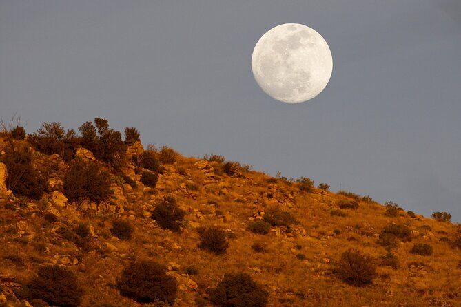 Self Guided Mt. Lemmon Scenic Byway Driving Tour - Who Is This Tour Best For?