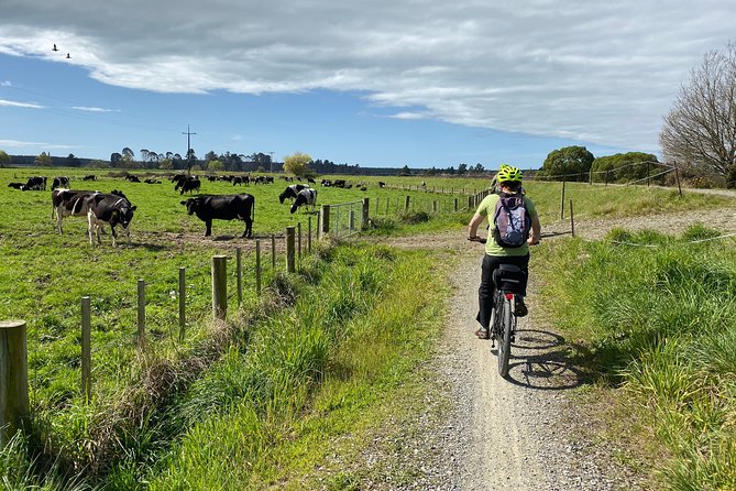 Self-Guided Nelson to Mapua Cycle Adventure - Tips for a Successful Journey