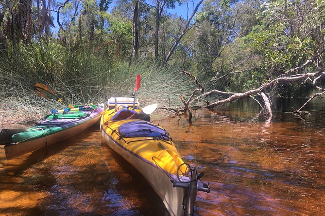 Self-Guided Noosa Everglades Kayak Tour - Pricing and Booking Details