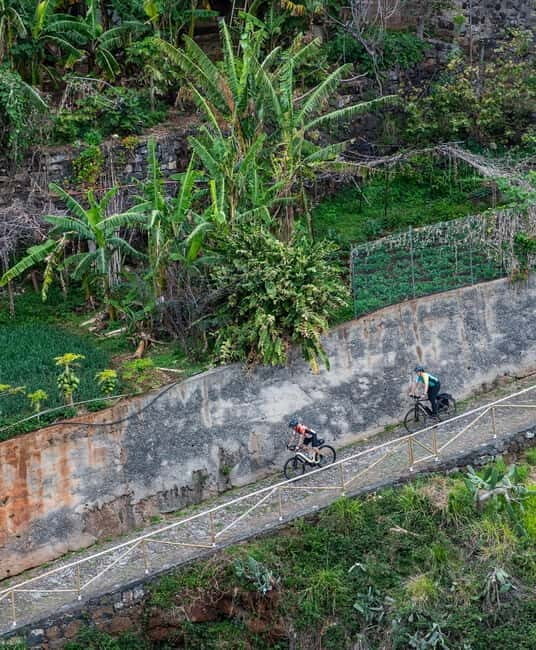 Self-Guided Road E-Bike Tour Ponta São Lourenço to Funchal - Key Points