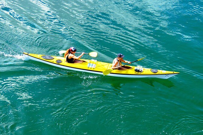 Self-Guided Sydney Middle Harbour Kayak 3 Hour Tour by Double Kayak - Key Points