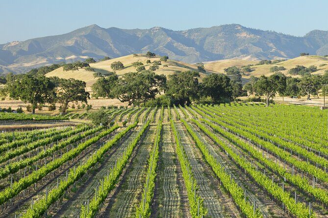 Self Guided Tour of Solvang and Santa Ynez Wine Country - What You Can Expect from the Tour