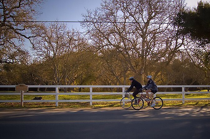 Self Guided Tour of Solvang and Santa Ynez Wine Country - Who Should Consider This Tour?
