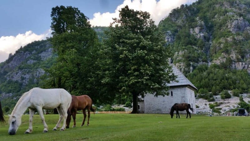 Self-Guided Tour: Theth, Valbona & Koman Lake - The Sum Up