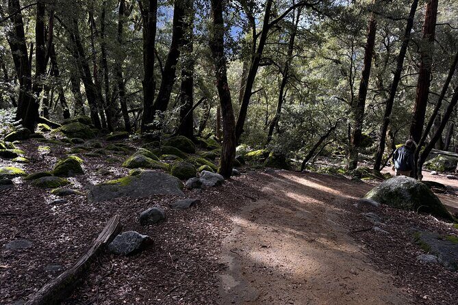Self Guided Yosemite Walking Tour Explore with Expert Audio Guide - Key Points
