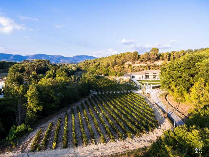 Self Tour of the Olive Oil Mill & Olive Oil Tasting - Traditional Olive Oil Production Secrets
