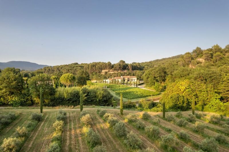 Self Tour of the Olive Oil Mill & Olive Oil Tasting - Olive Oil and Artisanal Product Tasting
