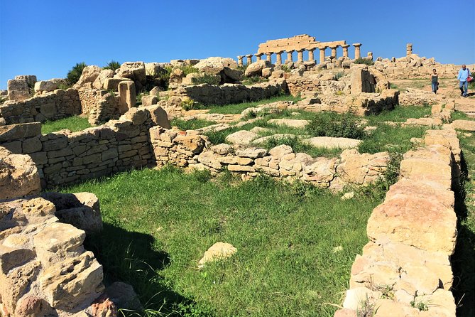 Selinunte Archaeological Park and Cusa Caves From Palermo, Private Tour - Inclusions and Accessibility
