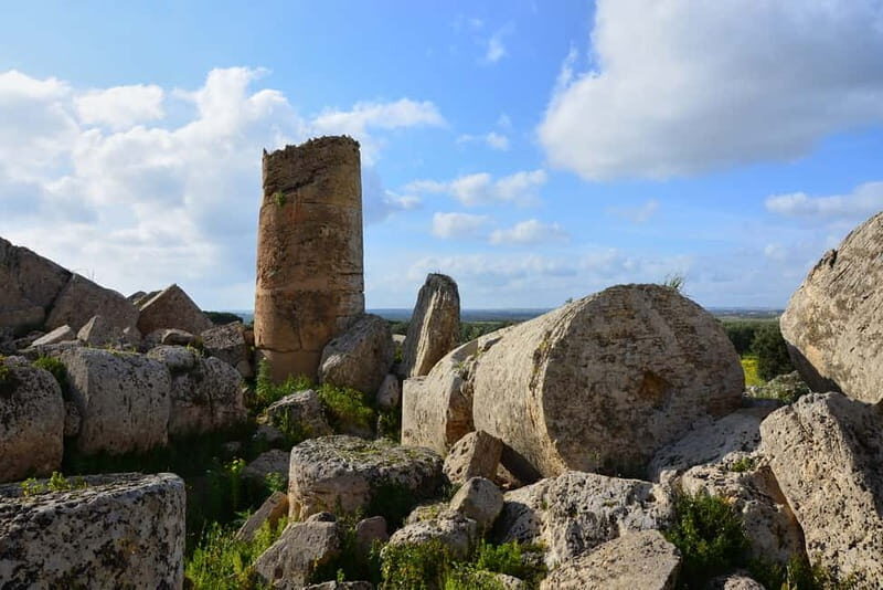 Selinunte: Archeological Park Entry Ticket & App Audioguide - A Closer Look at the Experience