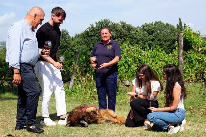 Sella delle Spine Taurasi: Tasting, Vineyard and Cellar Tour - Final Thoughts: Who Will Love This Tour?