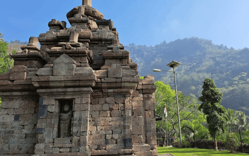 Selogriyo Temple & Java Rice Terrace Trek With Ticket - Rice Terrace Trekking