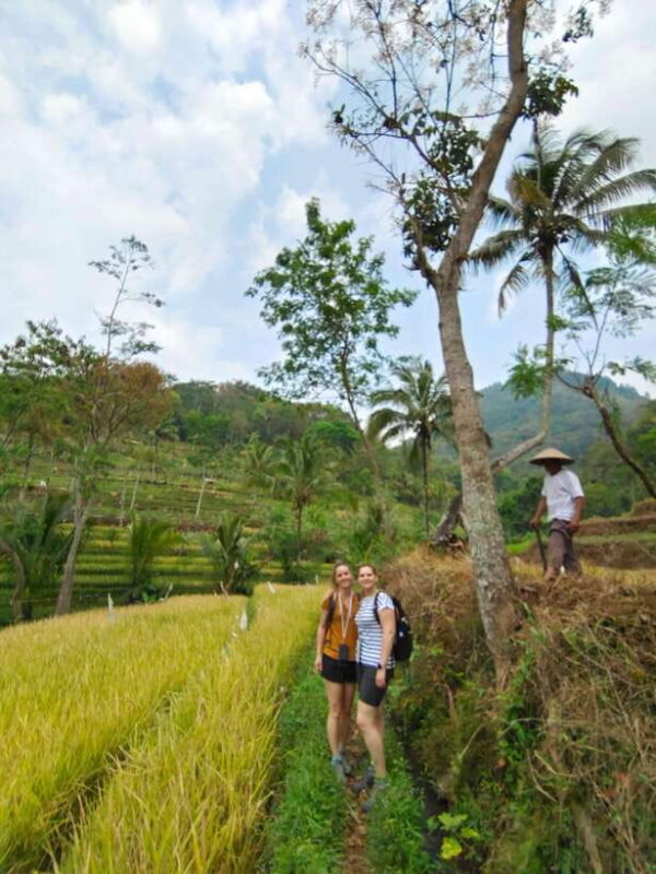 Selogriyo Temple, treking Java Rice Terrace hidden waterfall - Key Points