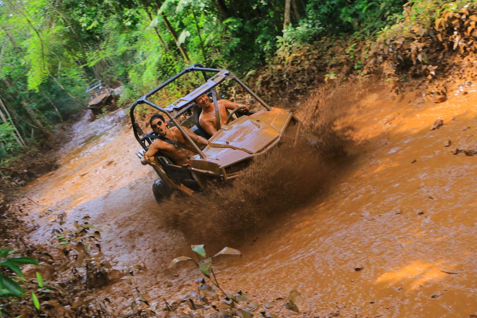 Selvatica Park: Zip Lines, ATV, Cenote Swimming, and Bungee Tour - Polaris RZR and ATV