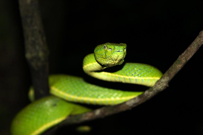 Selvatura Park: Herpetarium Tour in Monteverde - Booking Details and Cancellation Policy