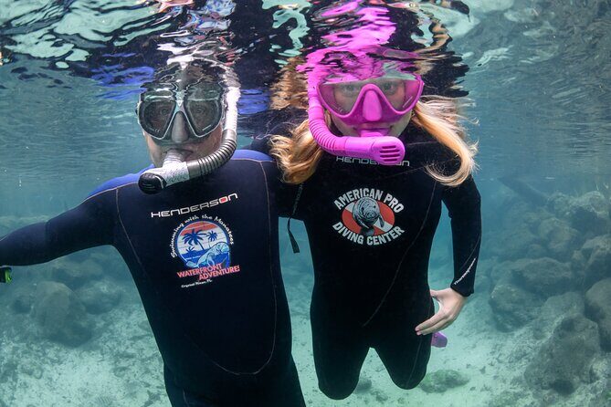 Semi-Private Crystal River Manatee Swim Tour - An In-Depth Look at the Crystal River Manatee Swim Tour