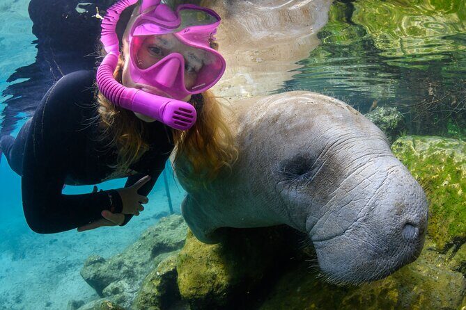 Semi-Private Crystal River Manatee Swim Tour - Final Thoughts: Is It Worth It?