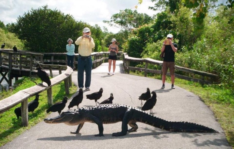 Semi-Private Everglades Tour From Miami or Fort Lauderdale - Recap