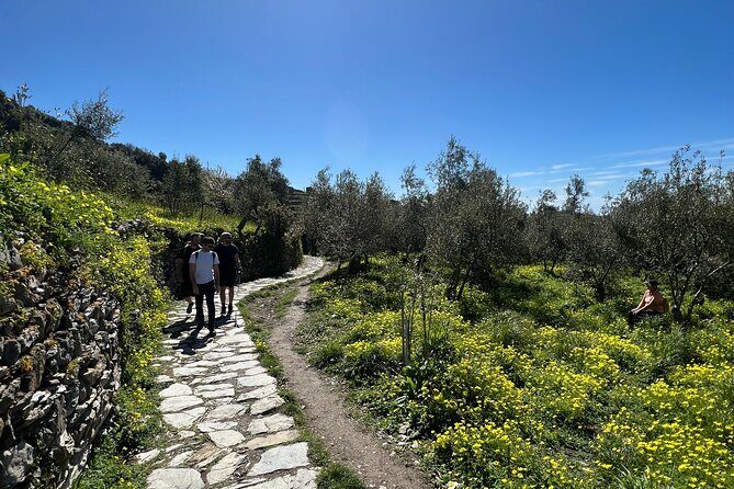 Semi-Private Guided Hiking Cinque Terre Tour from Florence - FAQ